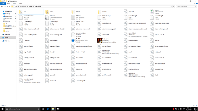 FiveReborn Folder
