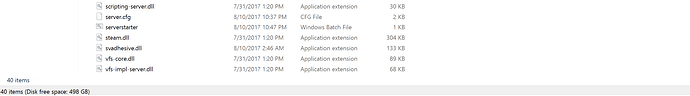 FiveM server File2