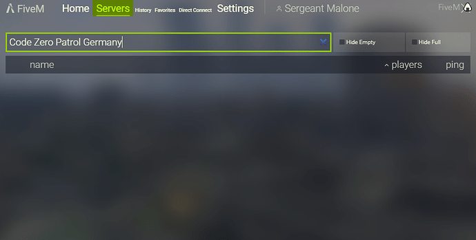 FiveM Server net auf der liste