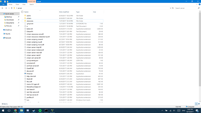 FiveM server File1