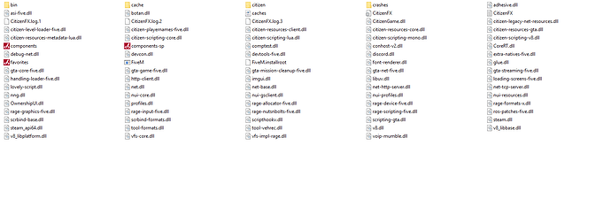 FIvem%20client%20folder