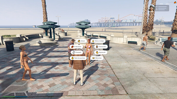 GTAV-RP-FiveM-Menu