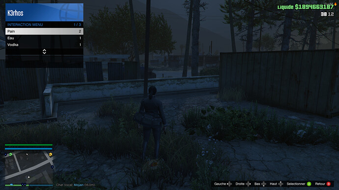 INGAME2