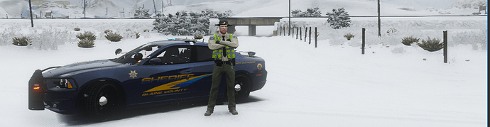 BCSO_Traffic_Skin_2