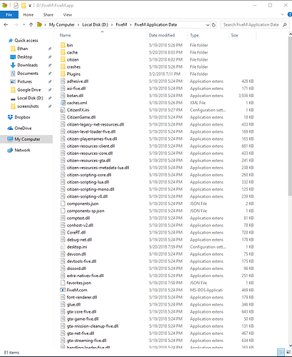 FiveM%20application%20data