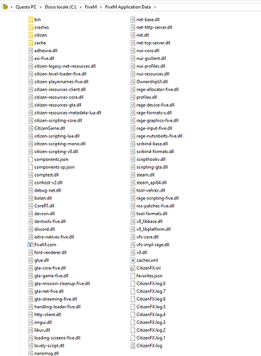 FIVEM%20SCREEN