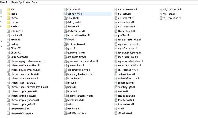 Filepath to FiveM folder