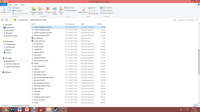 screen fivem 2