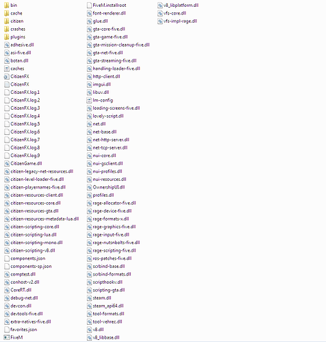 fivem%20app%20data