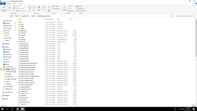 FiveM Folder