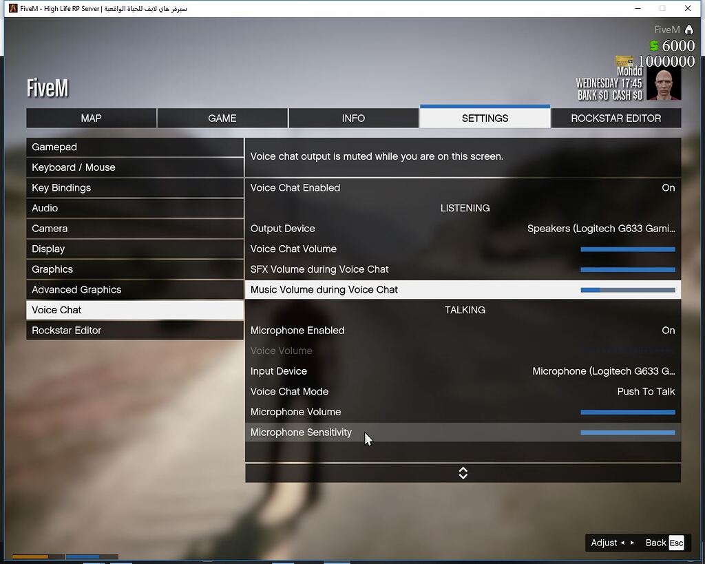 Can T Hear People In Fivem Fivem Client Support Cfx Re Community Can T Hear People In Fivem Fivem Client Support Cfx Re Community