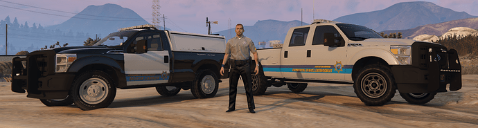 cve3