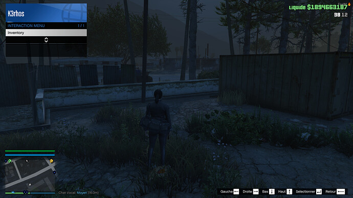 INGAME1