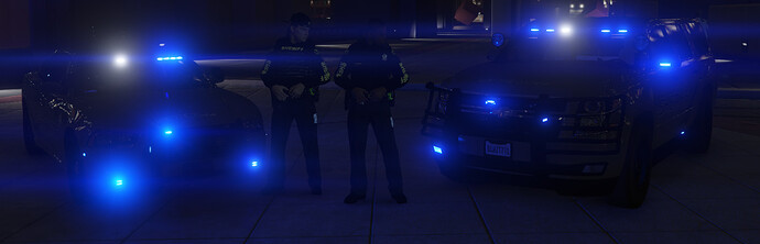 2 cars 2 cops