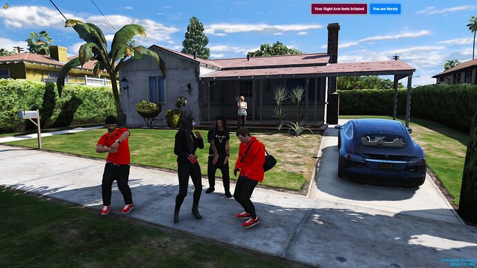 dsasf