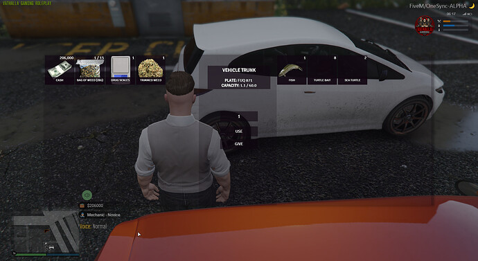 FiveM_GTAProcess%202019-09-18%2006-17-16
