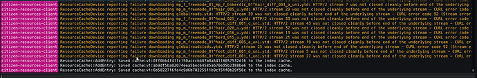 FiveM_b2060_GTAProcess_78c3kLAy3c
