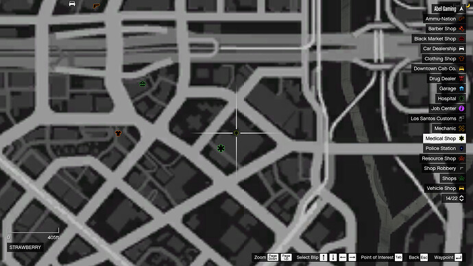 FiveM 5_2_2021 5_32_53 AM
