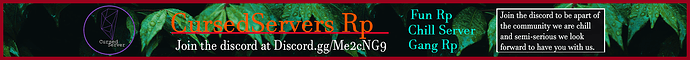 server banner