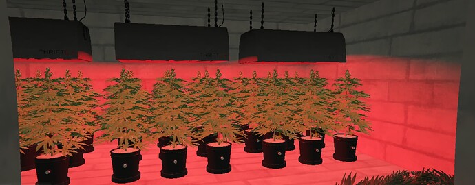 Weed Interior thumbnail 3