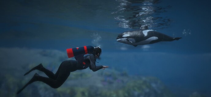 orca