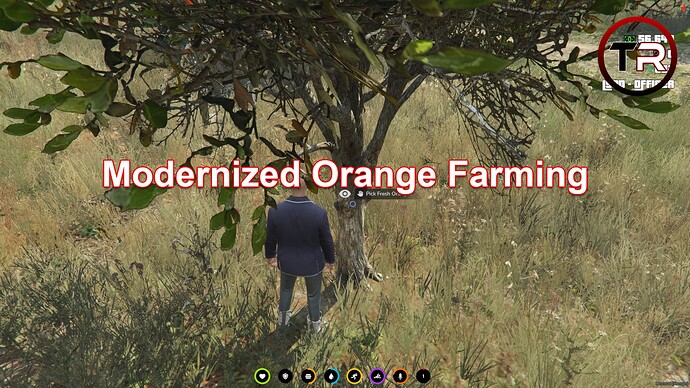 Orange Farming