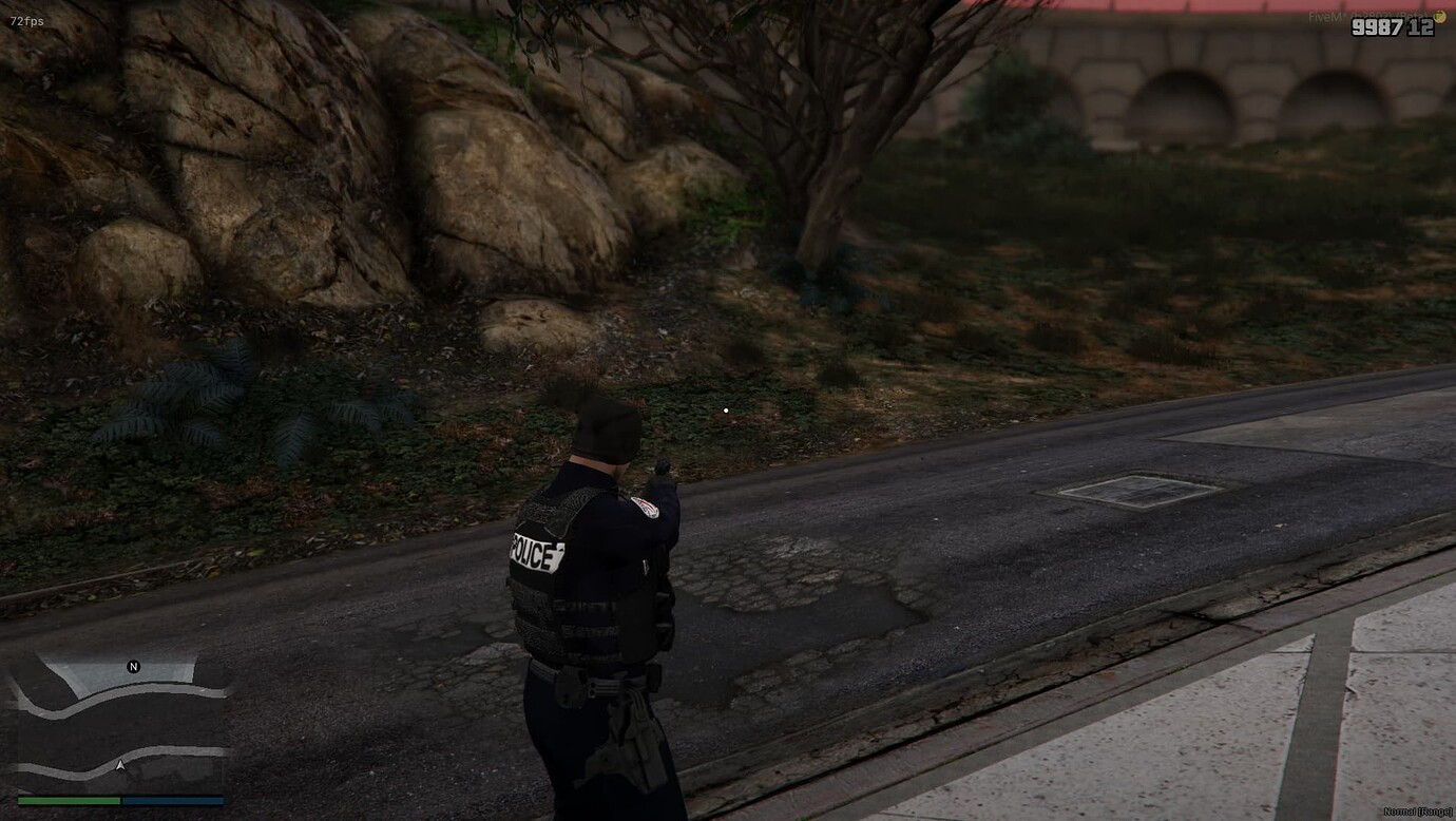 Ram & Holster Script - FiveM Releases - Cfx Forum