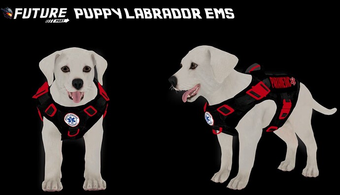[PAID] Future Puppy Labrador EMS [PED] [DOG] [PETS] Thumbnail