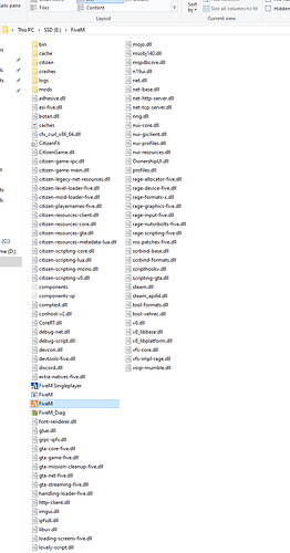 FiveM Files
