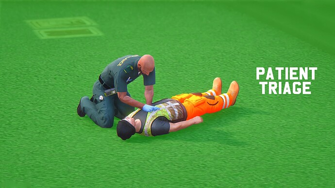 [PAID] [STANDALONE] Patient Triage Thumbnail