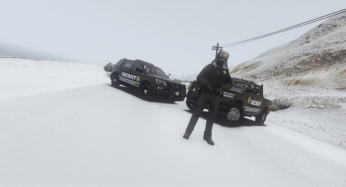lcso