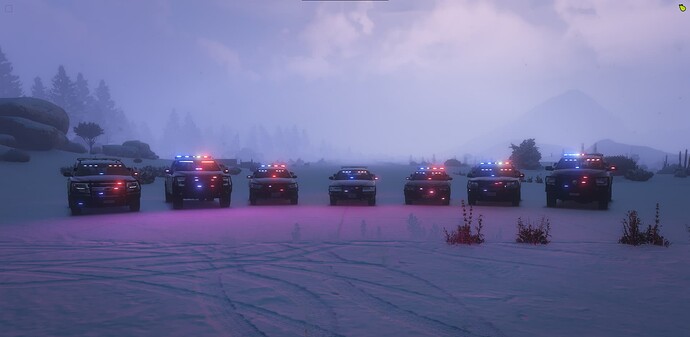 bcso