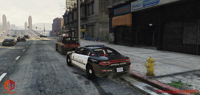 trafficstop1