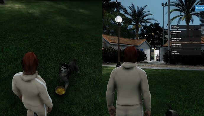 pets