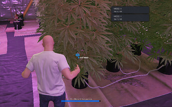 ESX- WeedSystem Thumbnail
