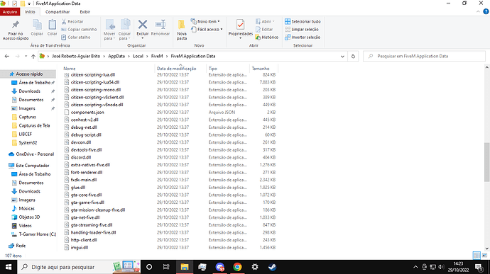 Captura de Tela (38)