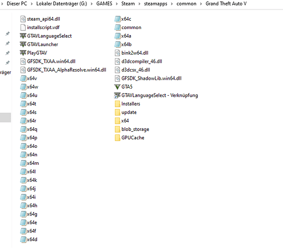 GTA V Folder