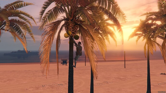 [PAID] [QB] Coconut Pick Job Thumbnail