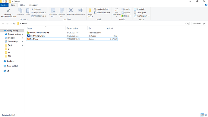 FiveM folder