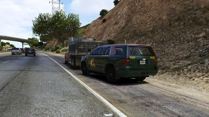 ss33