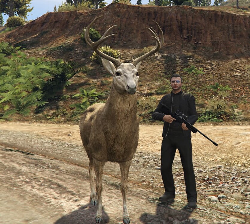 [PAID] Hunting Script - FiveM Releases - Cfx Forum