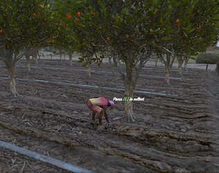[ESX | Sandalone] Farming Oranges thumbnail 5