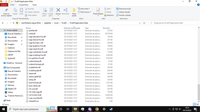 Captura de Tela (39)