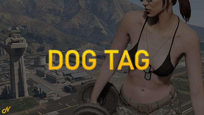[PAID] [ESX] Military Dog Tags Thumbnail