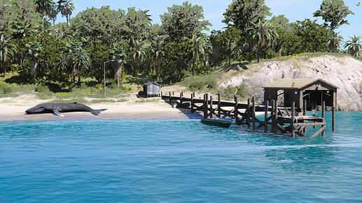 cayo5