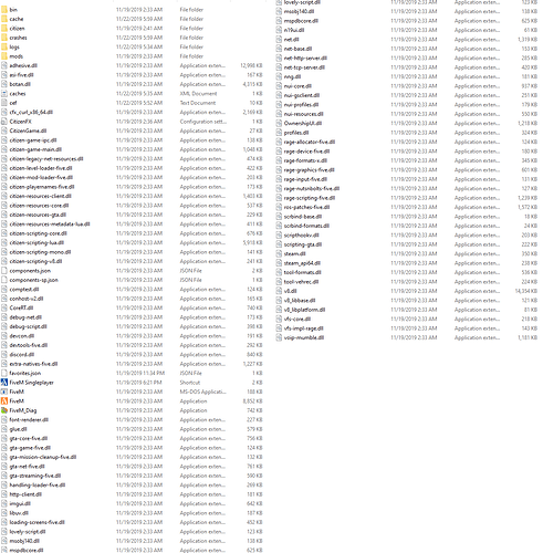 fivem-folder
