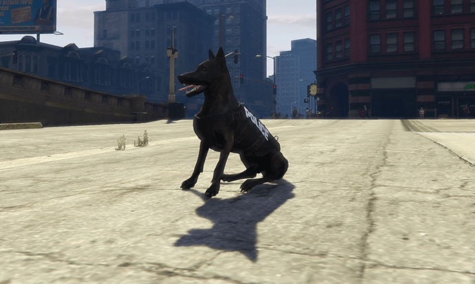 PoliceK9Player_Top_Small