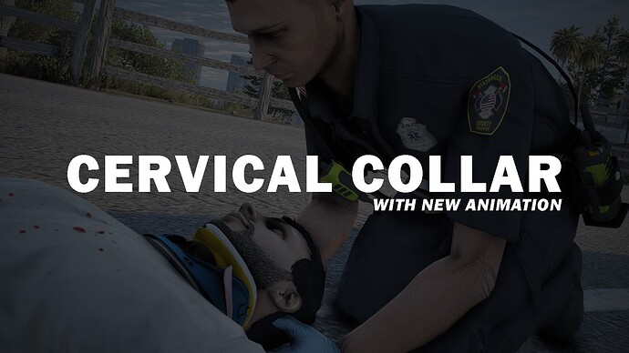 [Script] Cervical collar and head support script with custom anims! Thumbnail