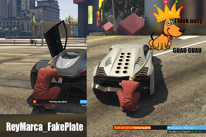 fakeplate