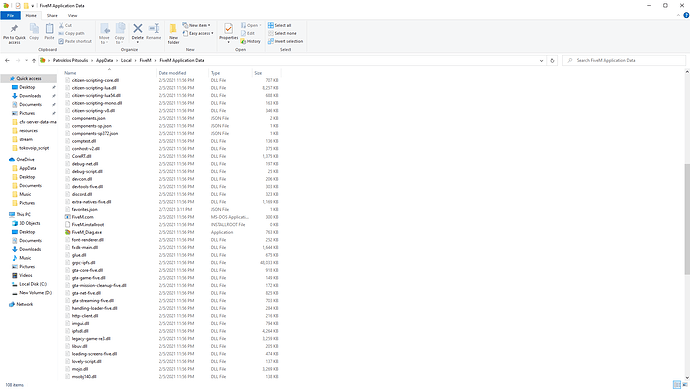 FiveM Application Data 2_8_2021 9_21_35 AM
